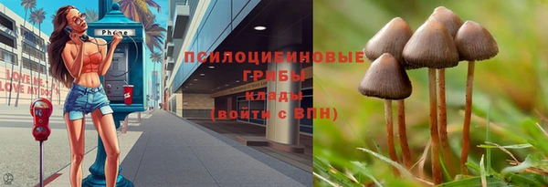 бошки Алексин