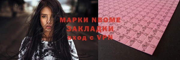 бошки Алексин