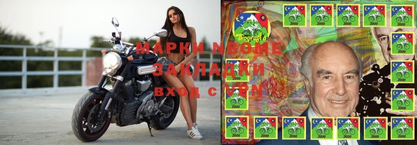 бошки Алексин